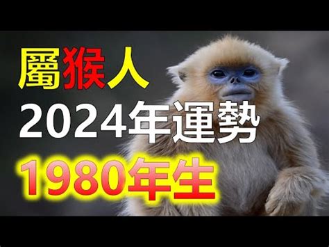 1980屬猴幸運色